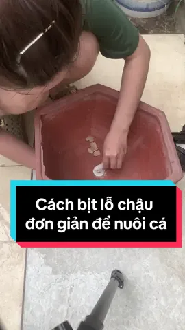 Cách bịt lỗ chậu đơn giản chỉ với keo 502 😙  #nuoicacungjun #bitlochau #nuoica #cacanhthuysinh #cacanhvietnam #aquarium #fish 