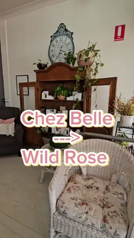 Chez Belle Beauty Salon  ---------------> Wild Rose Beauty Boutique ✨️  In a couple of days, it will be 6 months since I opened the doors as Wild Rose Beauty Boutique 🌹  What an incredible journey it has been 🫶🏻  I can't put into words how thankful I am to all of our beautiful clientele who have continued to support my small business and dream 🫶🏻   Chez Belle will ALWAYS hold a special place in my heart ❤️  Creating and watching my dream come to life has truly been something out of this world!  We can't wait to show you what we have coming in the next 6 months 🙌🏻 Much love now and always, Madi & The Dream Team xx  ------------------------------------------------------------------------------ #CollieWA #SouthWestWA #SupportLocal #beauty #beautysalon #BeautyBoutique #brows #BrowLami #BIABmanicure #Pedicure #facials #tuel #berrodin #mooie #MakeupArtist #makeup #LashLift #nailextensions #salonmakeover #wildrose #southwestbridal #bridalmakeup #hybriddye #hybridbrows #browsculpt #browwax #azuretan #maydetea #Love #transofrmation #MomsofTikTok 