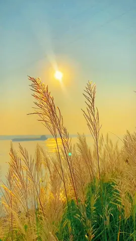 Chill cuối tuần❤️#relax #chill #canhdep #foryou ###sun 