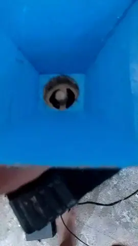 tes tweeter jic da25#ceksound 