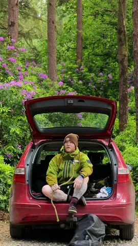 All in i spent about 30 cuz i got food on my way home #nature #MentalHealth #Outdoors 