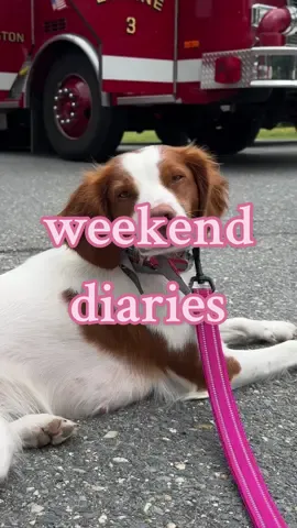 weekend diaries 🫶🏼 #WeekendVibes #babyshower #dayinmylife #dailyvlog #dogsoftiktok #catsoftiktok #thrifted #thriftingfinds 