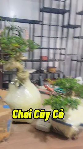 Hết Duyên Cảm Thấy Đỡ Tô s Nước Hẳn #trongcay #kichrenutrirootmax #lamvuon #nutrik #kichhoa #nutrimixvn #kythuatcaytrong #namxelan90 