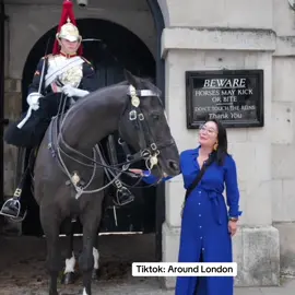 Show your RESPECT!!  #horseguardsparade #changingoftheguards #thekingsguards #horse #foryoupage #tiktokviral #tiktokbeta #fyp #foryou #fypシ #fanpage #tourists #London #trending #tiktokuk #London#trending #follow #subscribe #like #share 