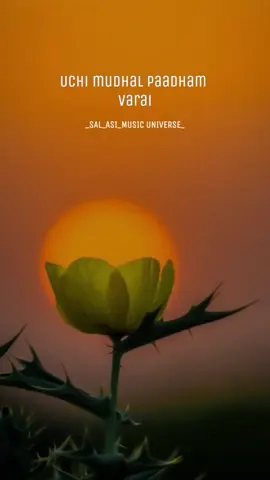 🧡✨ulagam yaavumae naam vasammm...  #musicunivers01 #uchimuthalpatham #sengottai  #hariharan #maithili #somememoriesneverdie🥀❤️🩹 #makethismemories☘️      #tamilsong  #tamilstatussongs  #videolyrics #tamillovesong  #tamilstatusvideos #tamilbgmlove #tiktokmalaysia #songs #trendingsong #song #lyrics #tamilsonglyrics #lovesonglyrics #lovelyrics #lovenature #viralsongs #fyp #fy #bgmlove #lovetamil #fyppppppppppppppp #fypviral #foryou #foryoupage #musictamil 