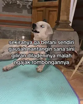 mental apaantuh#amkt19 #fypage #katakata #jagoan #ngeri 