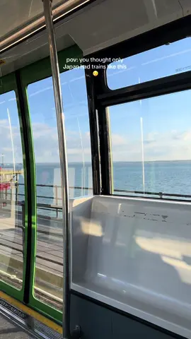 Location📍Southend on Sea. World’s longest pier! #travel #southendonsea #london #ghibli #seaside #pier #aesthetic 