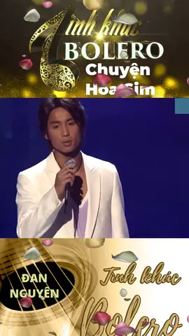 chuyện hoa sim #chuyenhoasim #dannguyen #xuhuong #bolerohaynhat #nhacvang #nhacasiaa #nhacchuong #hatnheptiktok