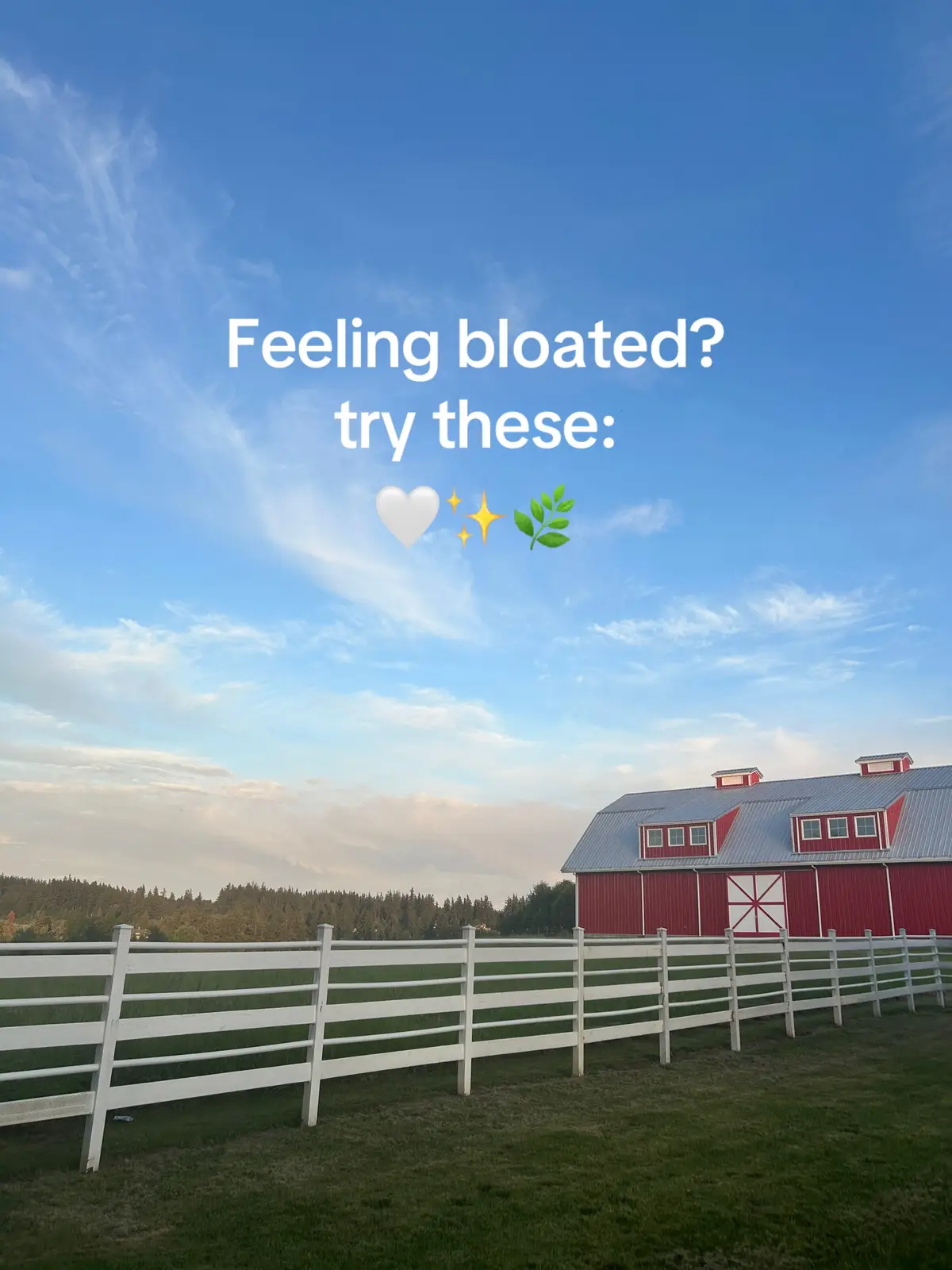 #bloating #bloatingtips #bloatingrelief #digestion #digestivehealth #digestivesystem #ginger #gut #guthealth #guthealthmatters #guthealthtiktok #guthealthtips #fyyyy #fyppoo #creator  @The Ginger People @enzymedica @Lily of the Desert 