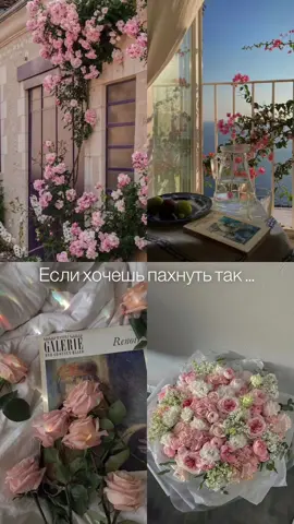 Цветочные ароматы всегда асоциировались с женственостью и привлекательностью. А их обладательницы получали огромное количество комплементов от противоположного пола. Мы составили для вас подборку некоторых их них: 1. HFC - Wear Love Everywhere  2. MFK - A La Rose 3. Pardums de Marly - Delina La Rosee 4. Byredo - Rose Of No Man’s Land 5. Thomas Kosmala - Frenesie 6. Dior - Miss Dior Blooming Bouquet  Все эти парфюмы вы можете приобрести у нас по очень привлекательной цене 🫶🏻 Для заказа пишите в лс, телеграмм или инстаграм. #parfum #распивпарфюма #парфюм #духи #распивмосква #парфюмерия #цветочныедухи #цветочныеароматы 