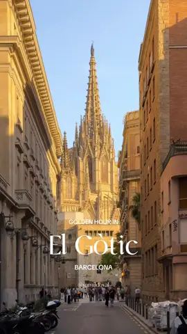 Golden hour in el Gòtic, Barcelona ✨ Hora daurada al barri Gòtic ✨ #bcn #barcelona #bcntiktok 
