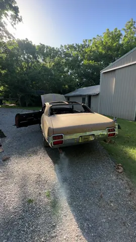 New project! 1972 Cutlass that needs some serious body work! Let me know what you think I should do for the drivetrain! #barnfind #generalmotors #gm #oldsmobile #cutlass #cutlasssupreme #1972 #engines #vintagecar #firststart #carguy #cargirl #restoration #fyp 