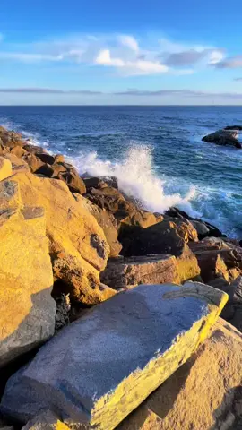 最美的海边风景！#旅行vlog #洛杉矶 #洛杉矶旅游小记 