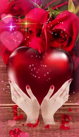 #bonnenuit #bonnsoirée #bonsoir 