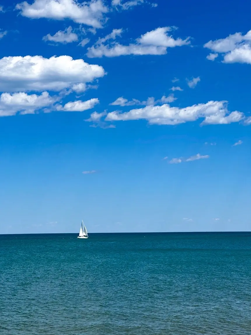 A picture perfect day to take an iced coffee and a library book to the lake to bask in the summer vibes. #coffeebreak #chicago #chicagolife #lakeside #lakemichigan  #LifeHack: If you’re not sure you want to buy a #cookbook, get it from the #library first. Cookbooks are rarely checked out, so you probably won’t need to wait and then you often can keep it for months before it has to go back — at which point you definitely know if it’s one to buy. (This one is looking good at first perusal!) Drinking an iced coconut cold brew with oat milk from Rivers & Roads on Devon.  #OOTD is all about a casual summer Sunday: @Marine Layer tee @J.Crew shorts @dansko sandals @Draper James straw tote  Both tee and tote were #thrifted from @thredUP 