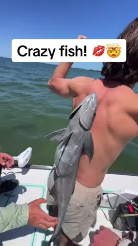 Monster Remora!! 🤯💋 Behind the scenes with our friend @thecaptainslogtv & @outsidechancemedia 🎬👇 Remora-Boy living up to his name 🤣 behind the scenes look of when we accidentally caught one of the largest remora’s ever recorded… during a shoot for Season 5 of @thecaptainslogtv and of course we had to stick it onto someone’s back 🤷🏼‍♂️  Listen to every podcast at TomRowlandPodcast.com brought to you by @starbrite_com ⭐️🎙️  Watch every episode of @thecaptainslogtv 24/7/365 for free at @waypointtv ✅ #tomrowlandpodcast #starbrite #danco #starbritetrp #tomrowland #podcast #fish #fishing #hunt #hunting #ocean #florida #gulfofmexico #nature #Outdoors #saltwater #freshwater #flyfishing #workout #Fitness #wild #knots #fishingknots #podcast #radio #tv #behindthescenes #thecaptainslogtv #fyp #foryou