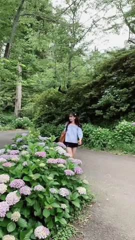 Thật vất vả cho anh , bận mưu sinh đến vậy vẫn đến làm tổn thương em 🙂 #xuhuongtiktok #dongtamtrang#lonely