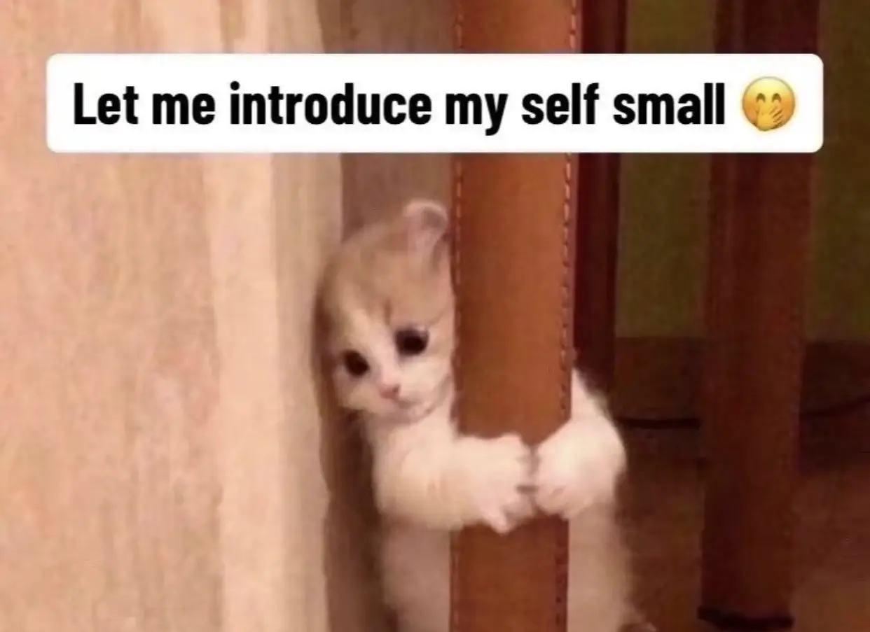 #selfintroduction #Love 