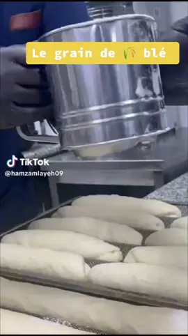 الخبز تونسي والشاف تونسي احلا شاف حمزة واخلا خبز فيك ياجدة والله عن تجربة تذوق تحصل 🌾🫶🏼🇲🇦♥️🇹🇳🙏🏼 #legraindeble #لوجراندوبلي #المغرب🇲🇦تونس🇹🇳الجزائر🇩🇿 #طريقة_الشاي_الموريتاني #jeddah🇸🇦 #حلويات_تونسية🇹🇳 #الجالية_المغربية_في_كل_مكان🇲🇦🇲🇦 