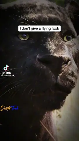 Im dealing with my inner demons im not worried bout what anyone has to say bout me u judge me when u don’t know sxxt bout me just what u think u know. If u was dragged up like i was and seen half what i see and went through then u know and understand the pain I’ve suffered i am as loyal as they come!! ID GO TO WAR FOR MY TRUE FRIEND AND ID FIGHT TO THE DEATH  THAT WOULD BE THE END !!!!