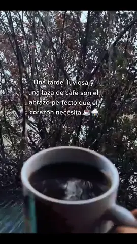 #lluviaycafecito☕🥰 #tardedelluvia