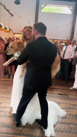 Peachy was the star of the show🤍 #wedding #weddingtiktok #foryou #fyp #dogsoftiktok 