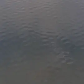 hayoo syp yg sering ngomong toxic?  #fyp #xbca #soundwa 