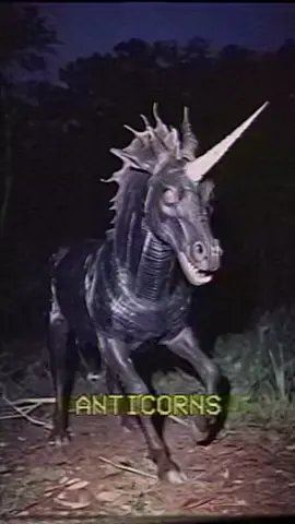 run, hide, or fight? Wildlife experts near Chattanooga, Tennessee have sighted a small herd of horned quadrupeds known as Anticorns roaming the region. The rare and elusive creatures can be identified by their dark rough skin, rows of sharp teeth, and large singular horn. Anticorns are predatorial in nature and are known to prey on large mammals such as wild hogs, deer, elk, and in some rare instances, bears. Although Anticorn attacks on humans are exceedingly rare, hikers in the area should be prepared to either run, hide, or defend themselves if spotted by an Anticorn. Due to the rarity of the species, researchers are still determining the best course of action in the event of an Anticorn encounter. All documented incidents of Anticorn attacks have resulted in the death of the victim by way of maiming and consumption, leading to a lack of useful data in the matter. #horror #analoghorror #weirdcore #dreamcore #creepy #latentplaces #fyp #reels #shorts #chattanooga #tennessee #anticorns #unicorn