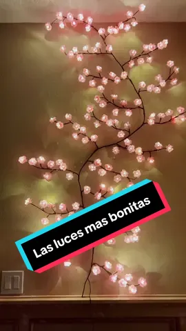 Estan super bonitas iluminan muuy bien 🤩 son una hermosa decoracion para tu hogar 💖 #fypシ゚viral #tiktokshopsummersale  #🌸🌸🌸🌸 