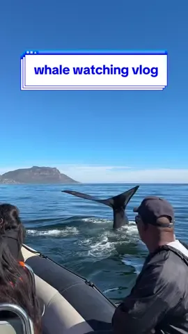 Whale watching dates are top tier 😌🐋 just ask @Danè #whalewatching #capetown #dateideas #thingstodoincapetown 