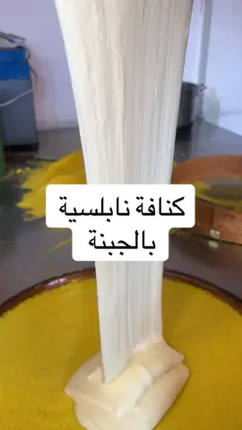 الرد على @BOOt95 @Marwan.Elhaj #كنافة_نابلسية #كنافه_بالجبن #معمل_حلويات_جالكسي_في_زيورخ_سويسرا #Galaxy_Patissrie #baklava #بقلاه #بقلاة_اكسترا #مبرومة_بالفستق لجميع المناسبات الخاصة والعامة في جميع أنحاء سويسرا zrüch #سويسرا🇨🇭  العنوان في : Galaxy Patisserie, Schaffhauserstrasse 455, 8052 Zürich