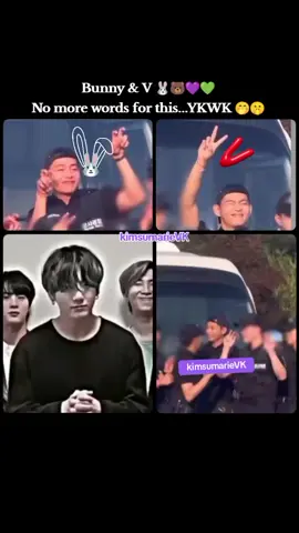 Bunny & V 🐰🐻💜💚 No more words for this...YKWK 🤭🤫 * THE DOUBLE BUNNY🐰🐰* #Taekook #Vkook 