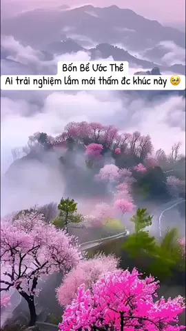 Bốn bể ước  thề - tân thuỷ hử ai trải nghiệm lắm mới thấm đc khúc này #bonbeuocthe #4beuocthe #tanthuyhu