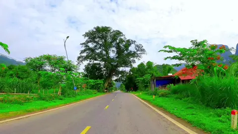 Cá chép chính là tàu ngầm, chuồn chuồn chính là máy bay, ếch chính là tên lửa 😳 Max volum lên cho thầy 😅😅 #phuotluon #canhdep #fyp #touring #chill #CapCut 