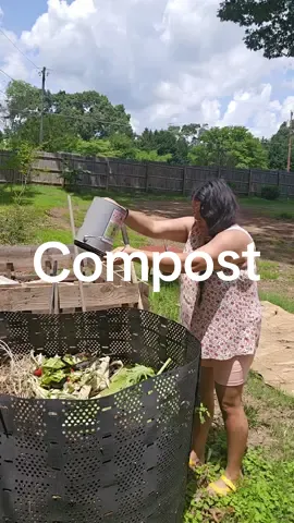 Compost! I do not follow the rules or put too much energy in it. I just throw everything in and let mother nature take care of the rest 😊 She got it! #Compost #CompostBin #GeoBin #garden #veggiegarden #Zone8a #Gardening #northcarolina #raisedbedgarden #fyp #gardenproject #GardenTok #gardeninspiration #gardenmotivation #growyourownfood #CapCut 
