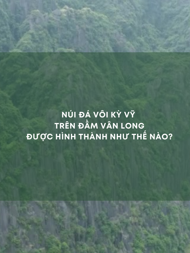 Sự hình thành hệ núi đá vôi trên Đầm Vân Long #damvanlong, #vanlonglimestonemountain, #vanlongwetland, #karstlandscape
