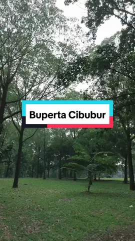Buperta Cibubur Camping Place #buperta #bupertacibubur #dronevideo #fyp 