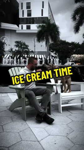 🗣️ HAPPY MONDAY . 🗣️ WISH YOU ALL A BEAUTYFULL SUCCESSFUL WEEK! . 🗣️ Live Stream everyday:   4pm to 6pm eastern time zone . 🗣️ JOIN THE FUN TIME OF YOUR DAY! . #dog #livestream #funtime #icecream #summertime #miami #timeoff #happydog #dogdad #dogs #dogsoftiktok 