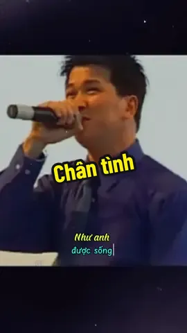 Chân Tình (Trần Lê Quỳnh) - Vân Trường #nhacxuavanay #hoainiemmusic 