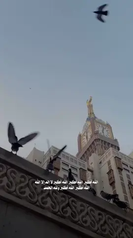 #الله_اكبر #تكبيرات_عشر_ذي_الحجة #كبروا_ليبلغ_تكبيركم_عنان_السماء #الله_أكبر #الله_اكبر_الله_اكبر_ولله_الحمد #الحج #العشر_من_ذي_الحجة #hajj #fyp #اكسبلور 