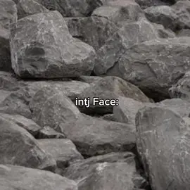 intj  #intj #mbti 