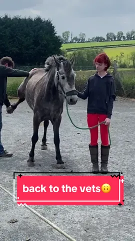 i see my vet more than i see my family #equestrian #horsetok #equestrianvibes #equine #horsesoftiktok  #equestrianlife #horseriding #horsetiktok #fyp 