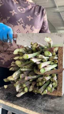 (1 minute) Amazing Fruit 😱