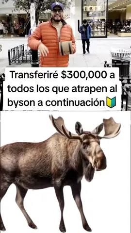 #pepe  #pepemillonario  #millonario  #elmundomillonario  #mexsiko🇲🇽  #paratimexico🇲🇽  #paratimexico #paratodos  #paratodosustedes #paratodosdetiktok♡  #españa🇪🇸 #espanatiktok🇪🇦 #francetiktok🇫🇷 #italytiktok🇮🇹🇮🇹  #mexicotiktok🇲🇽♥️ #hondurastiktok🇭🇳👸  #chiletiktok🇨🇱 #atencion  #paratiiii #parati  #paratilatino  #fypシ 