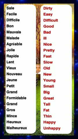 ADJECTIFS à connaître  adjectives to know  Did you know ❓ #LearnEnglish #englishgrammar #vocabulary #everyone #learnenglishdaily  #englishteacher #learningthroughplay #KidsLibrary #englishlearning 