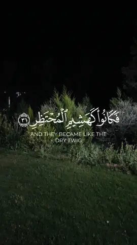 إِنَّا أَرْسَلْنَا عَلَيْهِمْ صَيْحَةً وَاحِدَةً فَكَانُوا كَهَشِيمِ الْمُحْتَظِرِ (31#اكتب_شي_توجر_عليه #Quean #لا_اله_الا_الله #ايات_قرانيه_تريح_القلب #moslem #راحه_نفسيه_القرآن_الكريم #سلمان_العتيبي #رعد_الكردي #اللهم_صلي_على_نبينا_محمد #قران_كريم #ناصر_القطامي #مشاري_العفاسي #ياسر_الدوسري #اسلام_صبحي #فارس_عباد 
