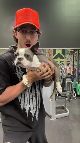 So late to this trend but Lily was so cute #jackeditalian #Fitness #motivation #animalbased #workout #marcospasiano 