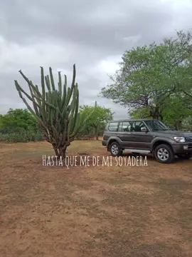 yo de ti no recojo migajas 🥃🎶