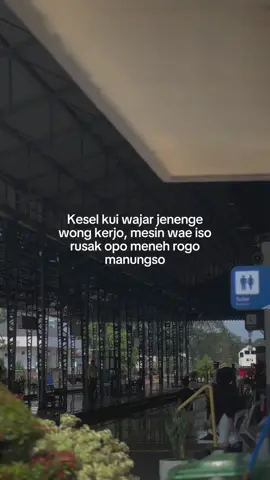 nek wes kewajibane kudu semangat. #storyjawa #jowostory #xyzbca #jawapride #katakatajawa #quotesjowo #fyp 