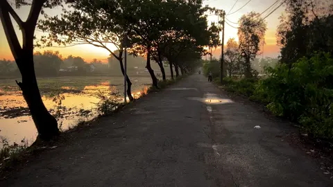 Nhìn khung cảng này chắc nhiều anh em xa quê nhớ nhà lắm ha 😊 #xuhuongtiktok #videocảnhđẹpchill #chill #hoàiniệm #bìnhchánh #fyp 